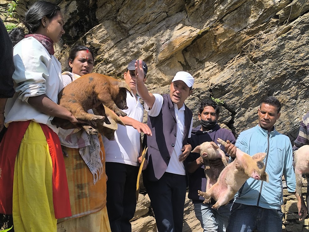 बादी समुदायमा बंगर वितरण कार्यक्रम